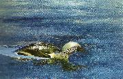 bruno liljefors simmande lom Germany oil painting artist